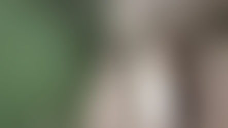 Peinture chez un particulier du douaisis