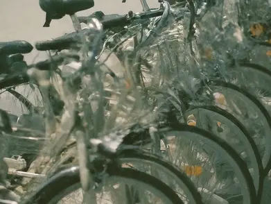 The Ultimate Guide to Bike Rentals in Fort Lauderdale: What You Need to Know