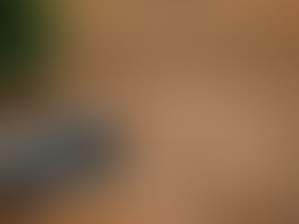 Lifestyle Photography vs. Traditional Product Shots: What's Best for Your Business?