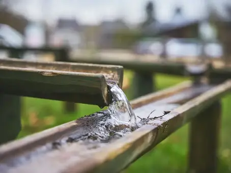How Irrigation Design Services Can Save Water and Money