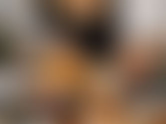 The Importance of Premium Nutrition for Your Pet's Health