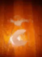 Drywood Termite Frass