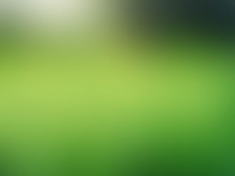 Sedgefield Secrets: How to Achieve the Perfect Lawn Through Seasonal Maintenance
