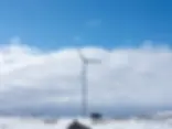 ree