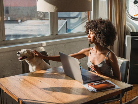 5 Key Benefits of Consulting a Dog Nutrition Specialist for Your Furry Friend