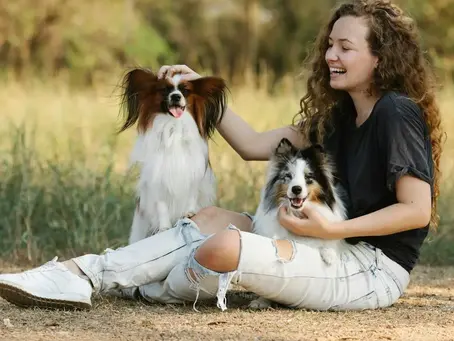 Understanding the Benefits of Premium Nutrition for Pets