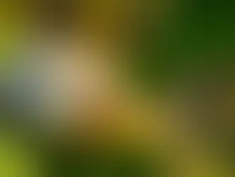 Integrating Garden Pest Control into Your Landscaping Plan