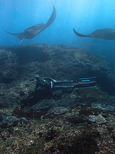 What to Expect During Your Manta Ray Moonlight Swim Adventure in Kona