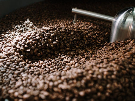 The Journey of Single Origin Coffee: From Farm to Your Cup