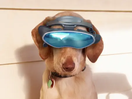 The Rise of the Virtual Pet Industry: What It Means for Animal Lovers