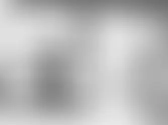 Exploring the Impact of Variable Pricing on Freight Brokerage