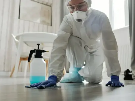 What Does Professional Floor Maintenance Include?