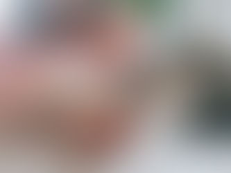 The Impact of Professional Pet Nutrition Advice on Your Fur Baby's Health