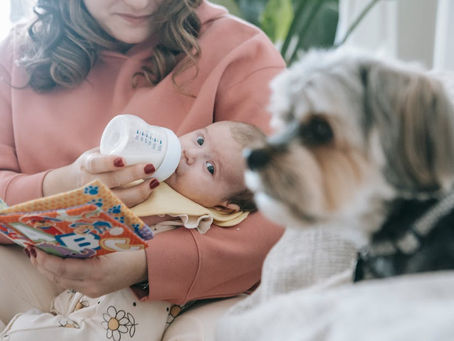 The Impact of Professional Pet Nutrition Advice on Your Fur Baby's Health