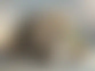 Cost-Effective Building Solutions: A Deep Dive into Innovative Construction Materials