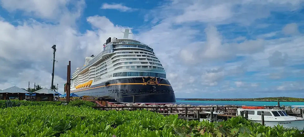 Large black and white cruise docked near greenery and water