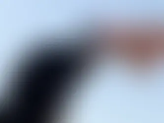 The Journey to Optimal Health: Understanding Pet Nutrition Advice