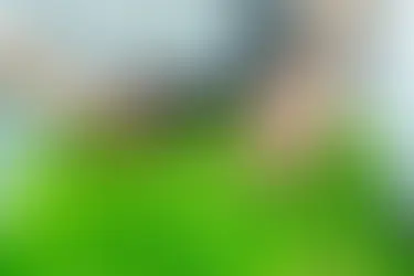 How Sustainable Farming Practices Benefit Our Planet