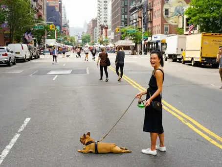 7 Creative Pet-Friendly Business Ideas for Dog Lovers