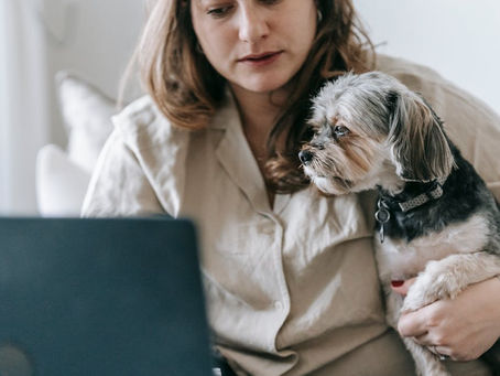 Achieving Work-Life Balance as a Pet Entrepreneur with Guidance from a Veterinary Business Coach