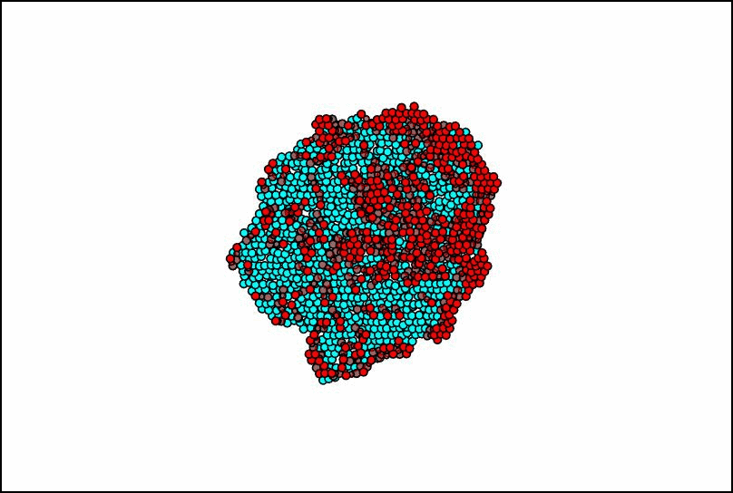 raft-model with border.gif