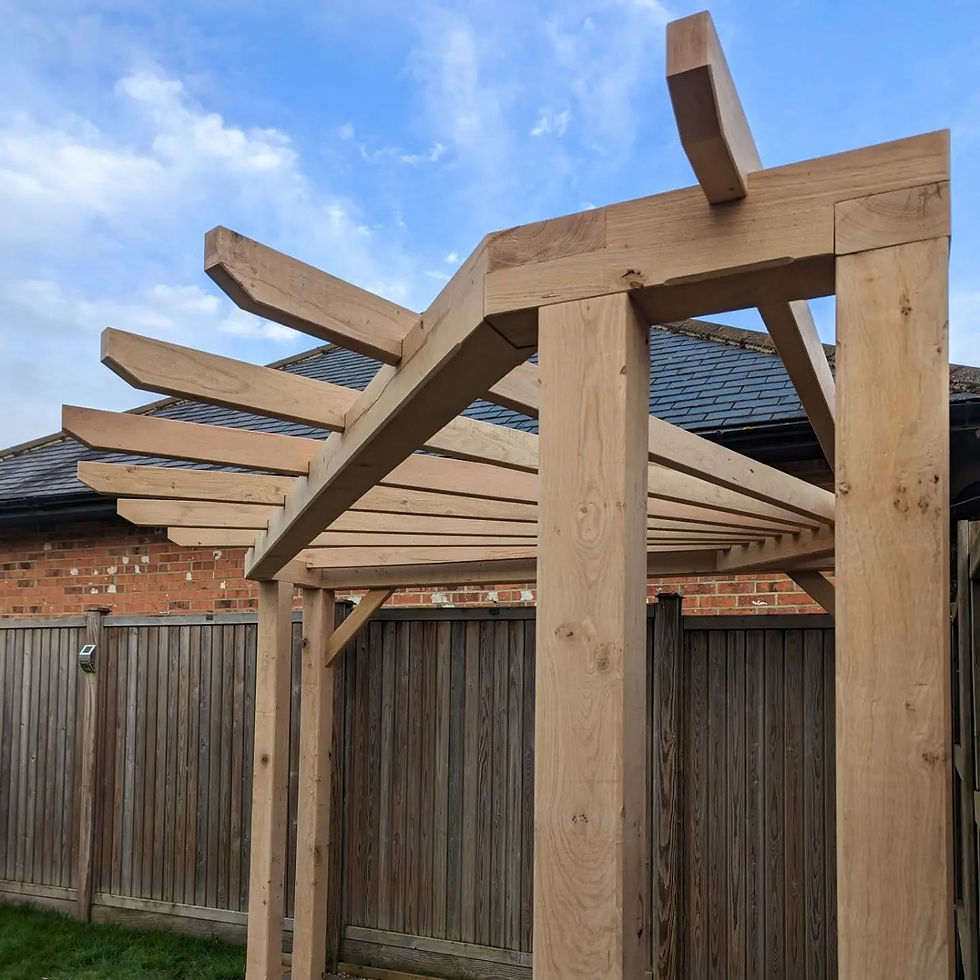 337272199_909556110271711_5456970541238962268_n