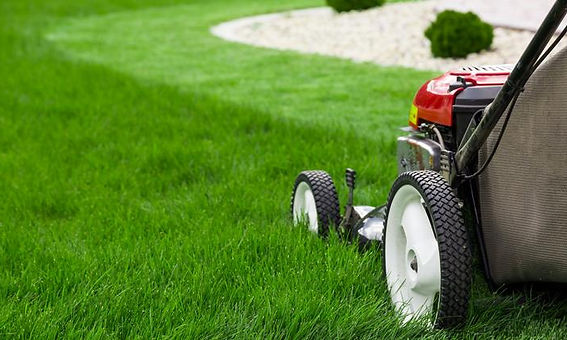 lawn care.jpg