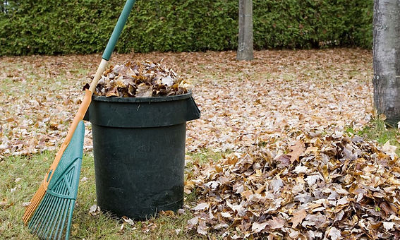 yard waster.jpg