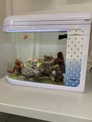 image1 (20).jpeg