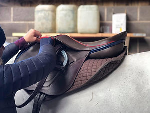 Saddle checking.jpeg