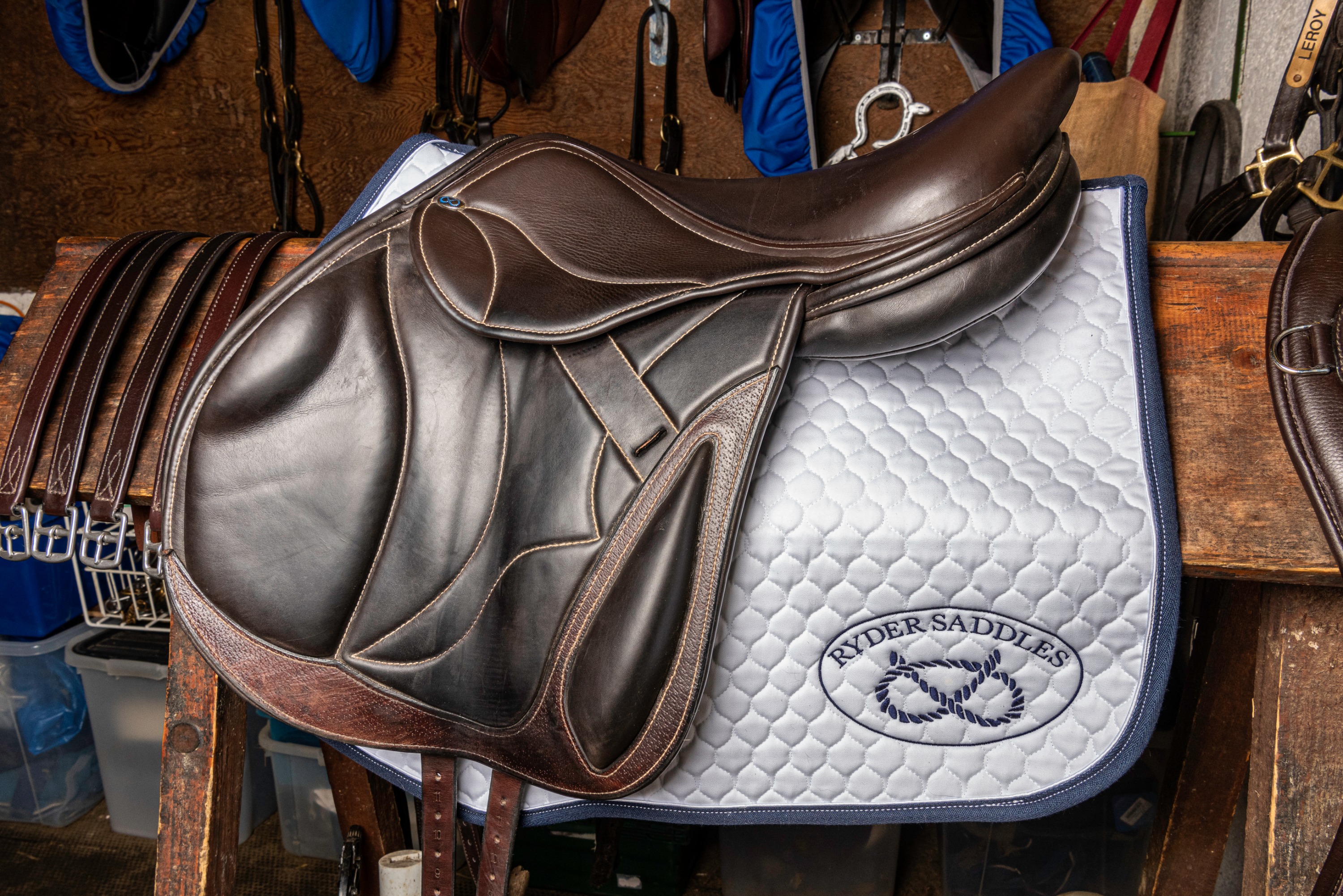 Jumping Saddles Ryder at Premier Equestrian