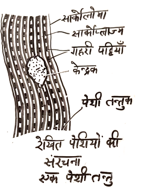 WhatsApp%20Image%202020-12-16%20at%2012.