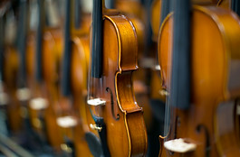 Violins