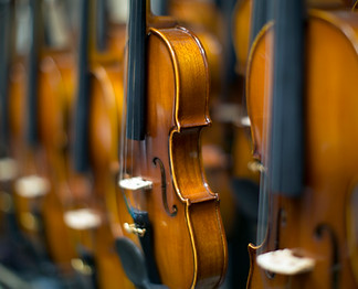 Violins