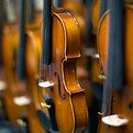 Violins