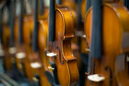 Violins