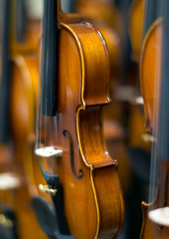 Violins