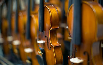Violins