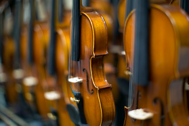 Row Of Violins