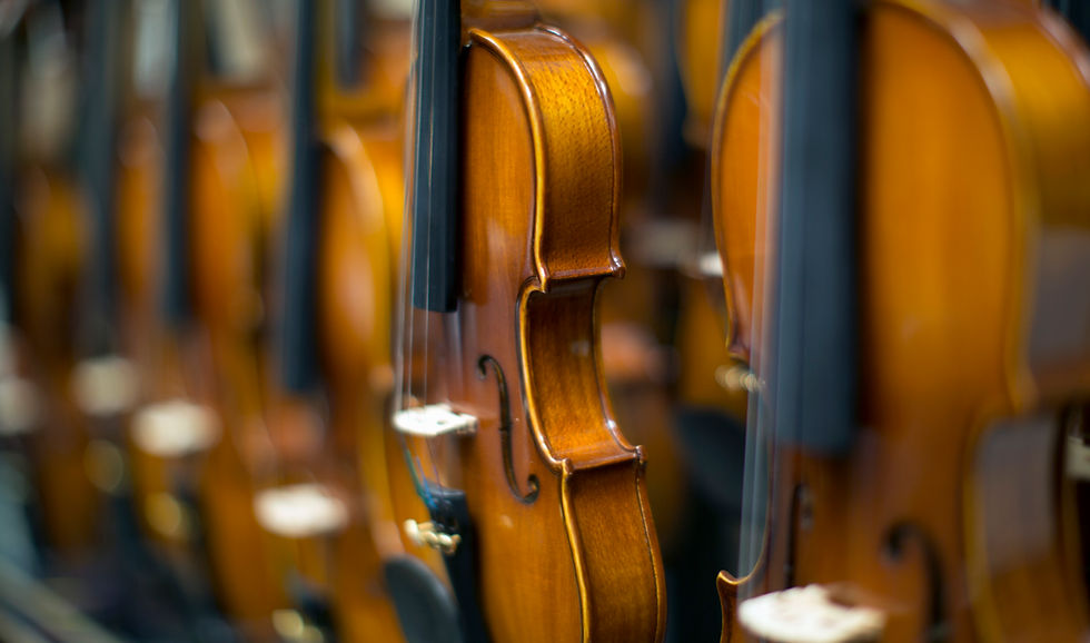 Several polished violins hanging together, close-up with a soft focus background.