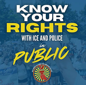 Immigrant rights 2025 LWV Morris Area.jpg