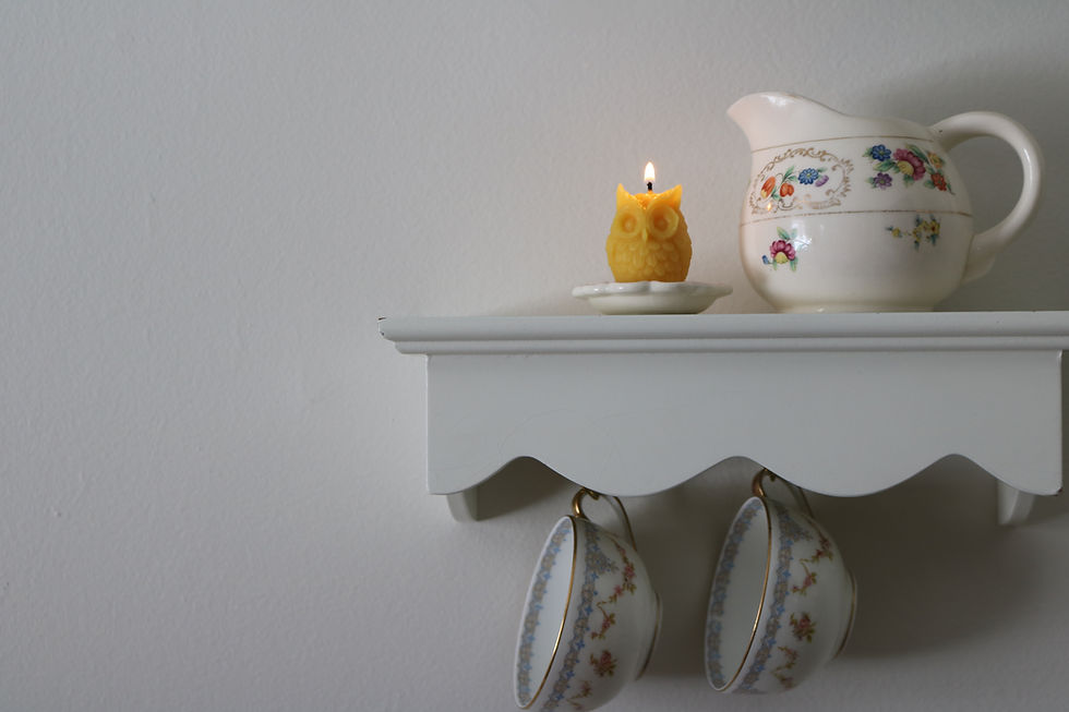 Thumbnail: Mini Woodland Owl