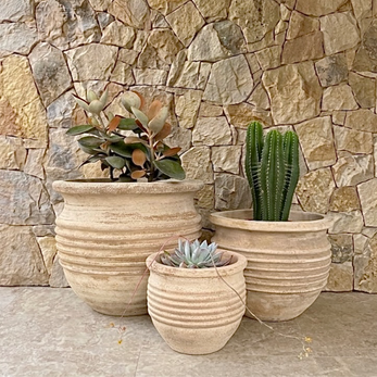 terracotta pots for succulents Sunshine Coast