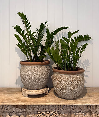 glazed pots for indoor or outdoors