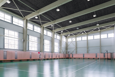 Aq tex polideportivo.png