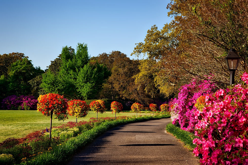 Landscape gardening
