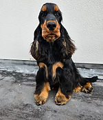 istockphoto-144331422-612x612.jpg
