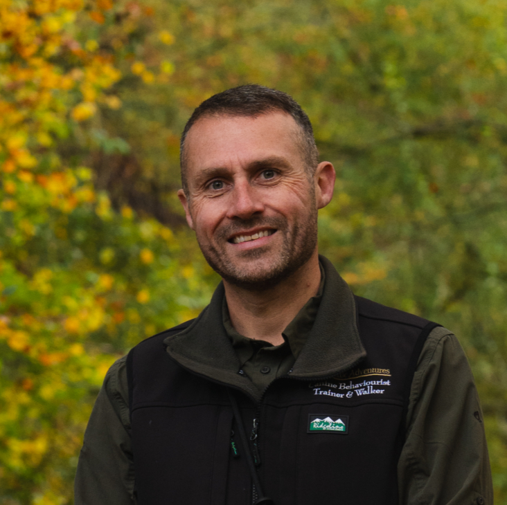 Writer: Stephen Gardner