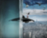 IMG_2706.JPEG