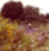 Liza_September_edited.jpg